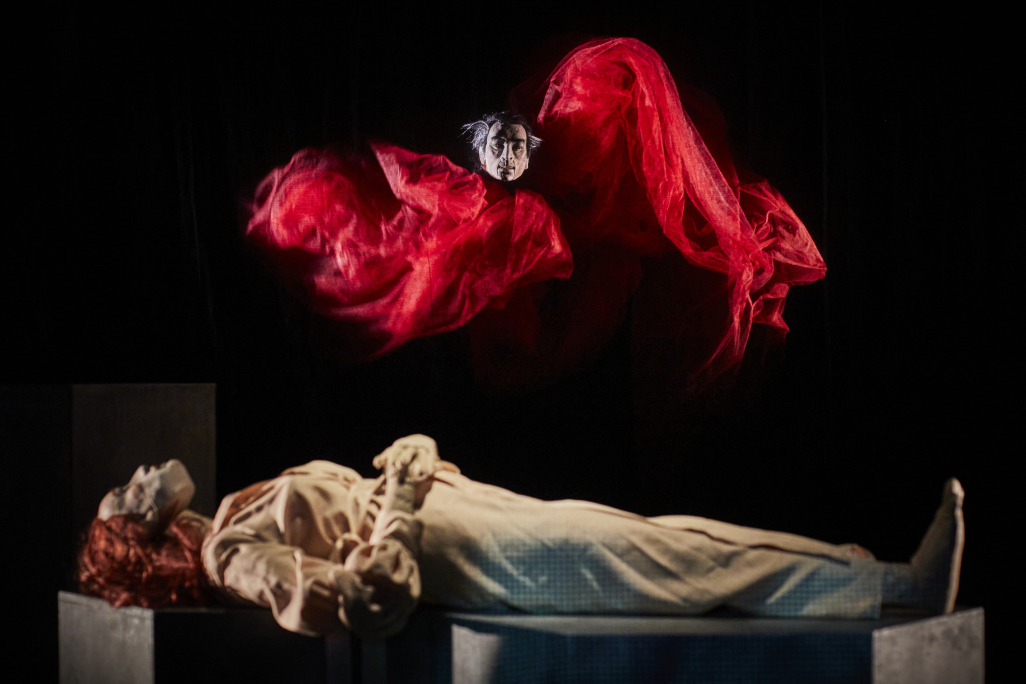Dracula ©Christophe Raynaud de Lage