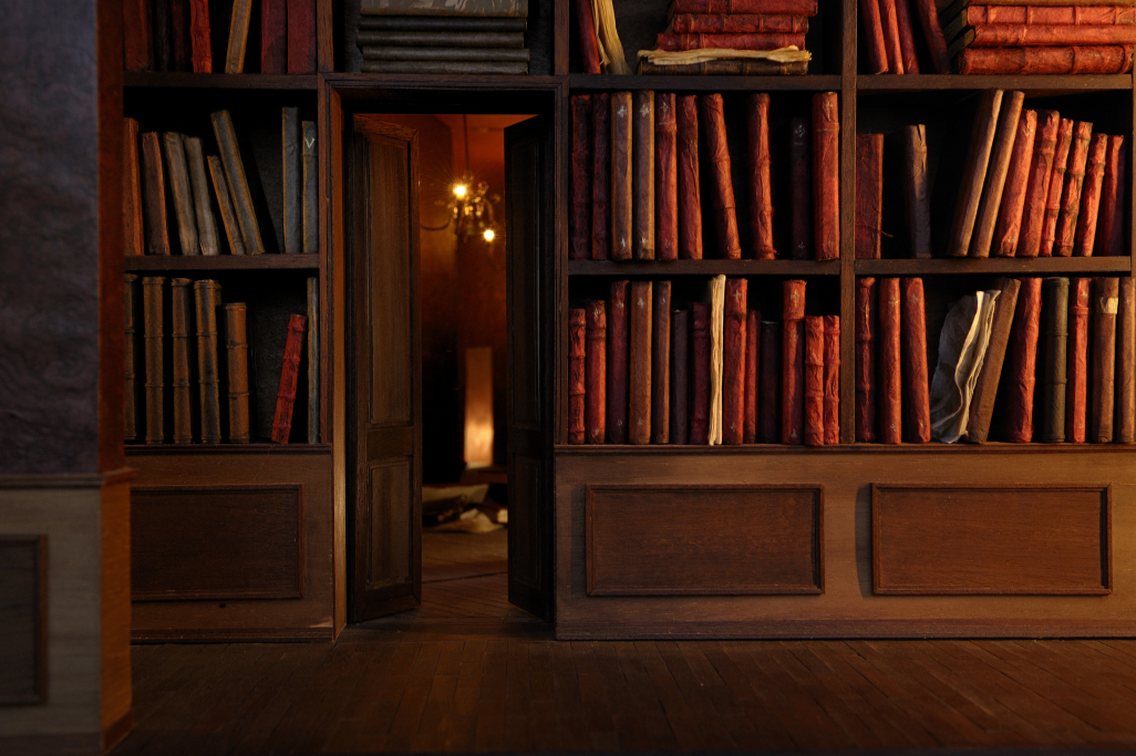La Bibliothèque L'espace s'efface ©Gaël Kerbaol