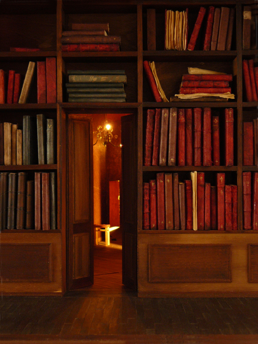 La Bibliothèque L'espace s'efface ©Gaël Kerbaol